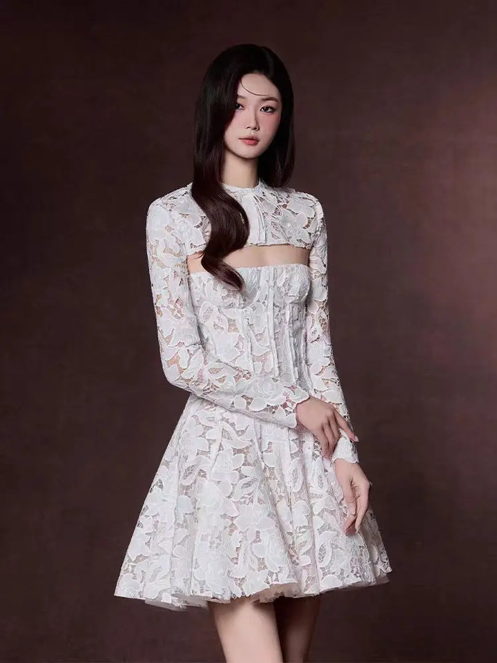 Elegant Round Neck Crochet Lace Hollow-Out Long Sleeve Dress