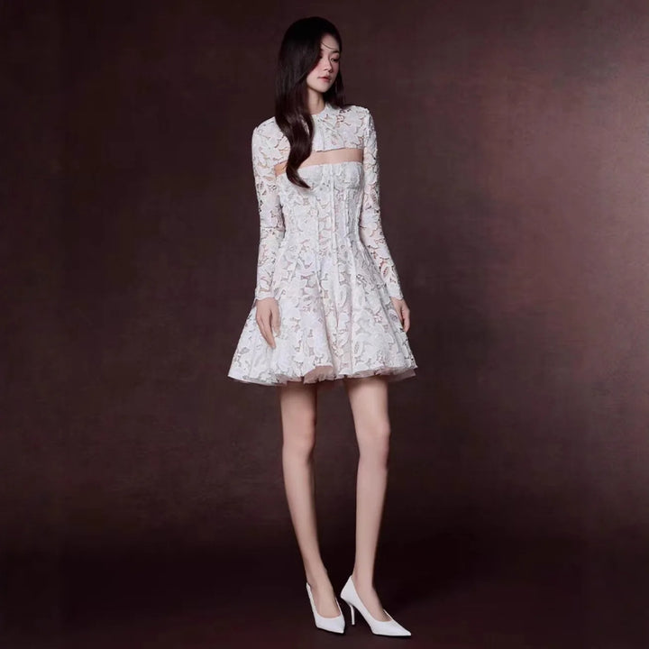 Elegant Round Neck Crochet Lace Hollow-Out Long Sleeve Dress