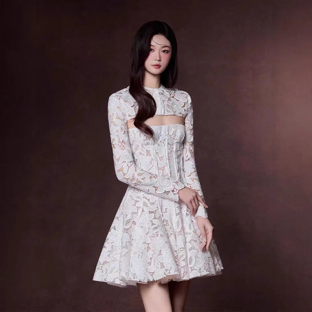Elegant Round Neck Crochet Lace Hollow-Out Long Sleeve Dress